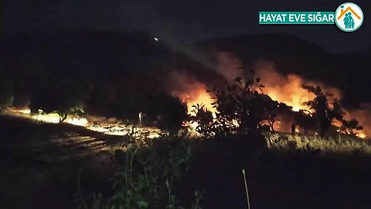 Malatya'da dağlık alanda çıkan örtü yangınına müdahale ediliyor