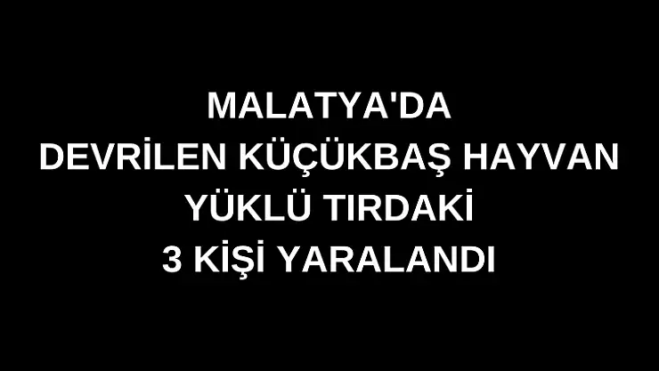 Malatya'da devrilen küçükbaş hayvan yüklü tırdaki 3 kişi yaralandı