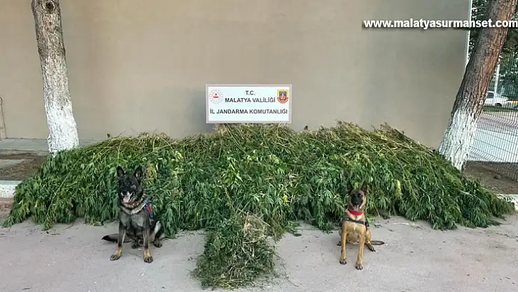 Malatya'da dronlu uyuşturucu operasyonu