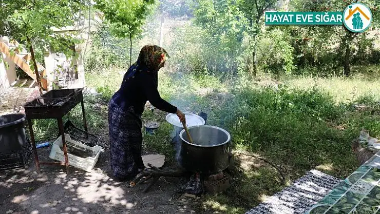 Malatya'da dut pekmezi mesaisi başladı