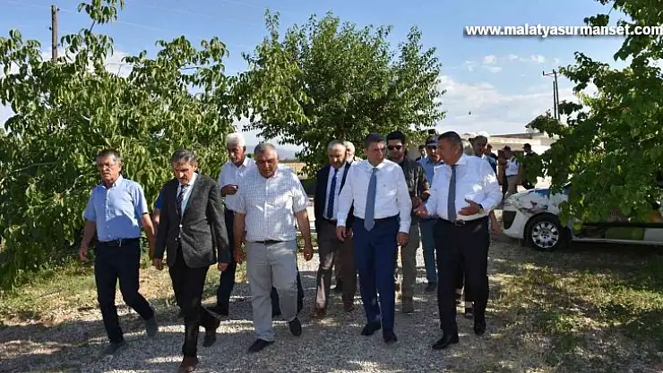 Malatya'da kayısı hasadı sürüyor