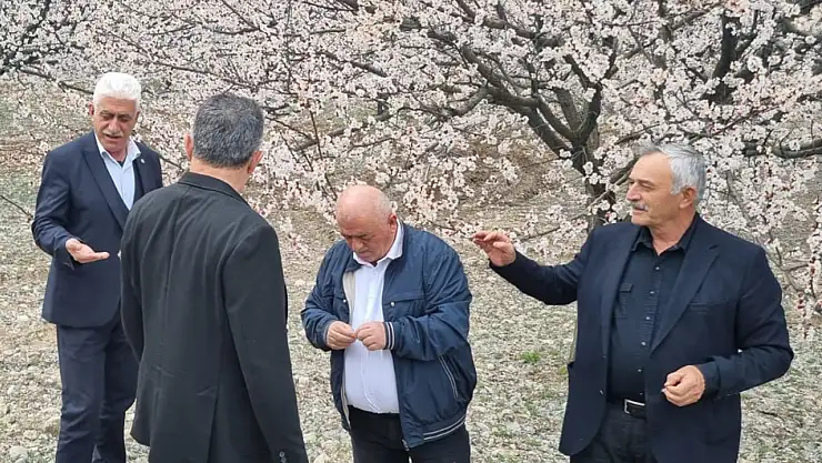 Malatya'da Kayısı Üreticisine Don Şoku!