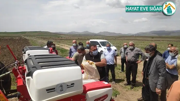 Malatya'da kayısıya alternatif: Kabak