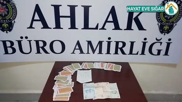 Malatya'da kumar ve fuhuş operasyonu