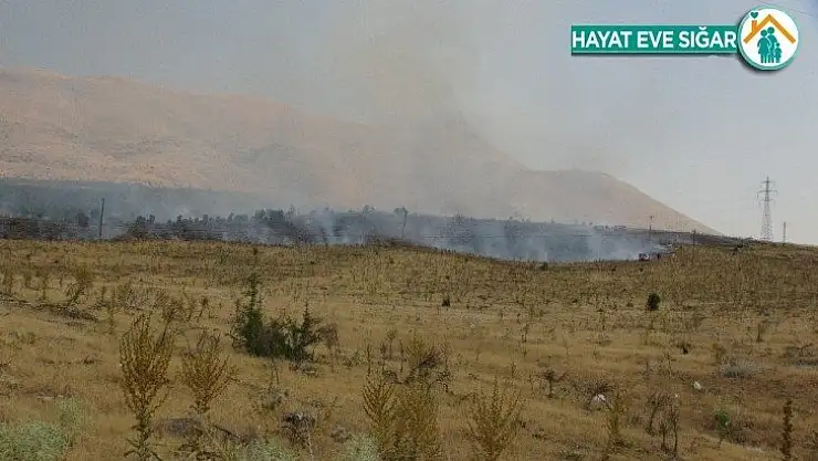 Malatya'da orman yangını