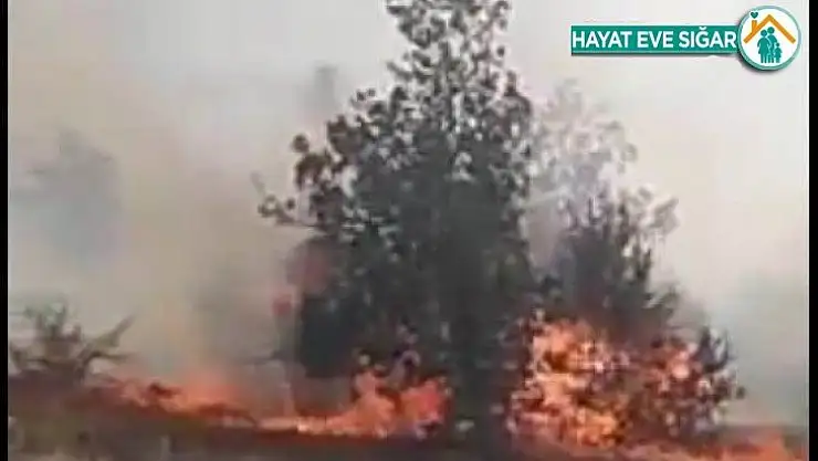 Malatya'da örtü yangını