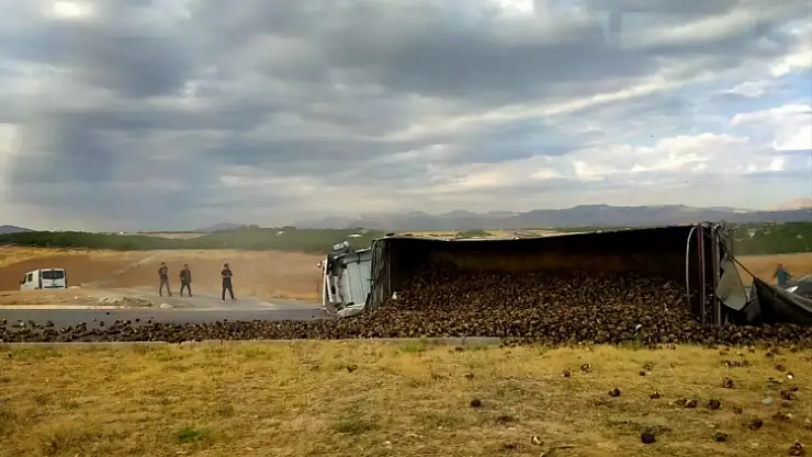 Malatya'da pancar yüklü kamyon devrildi 2 kişi yaralandı