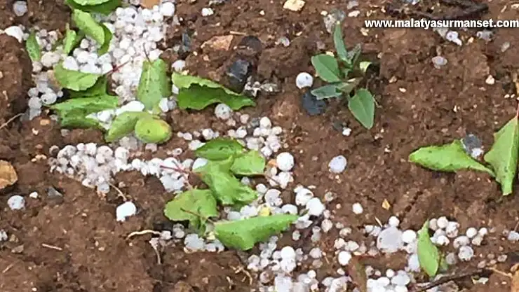 Malatya'da şiddetli sağanak ve dolu etkili oldu