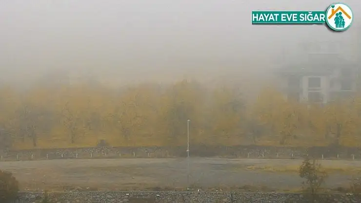 Malatya'da sis etkili oldu