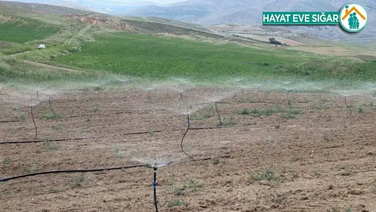 Malatya'da sulama ile 635 milyon 347 bin TL kazanılacak