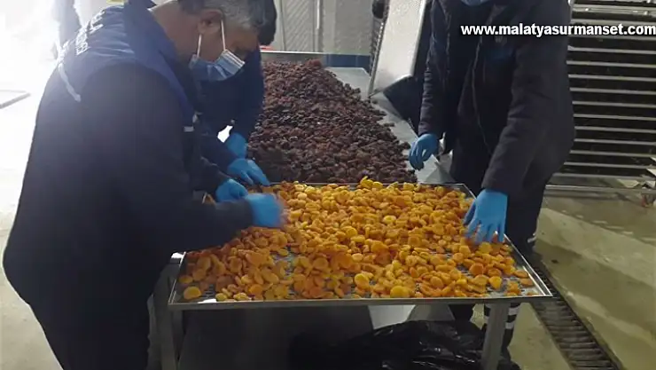 Malatya'da üreticilerden satın aldığı kayısıları ücretsiz dağıtacak
