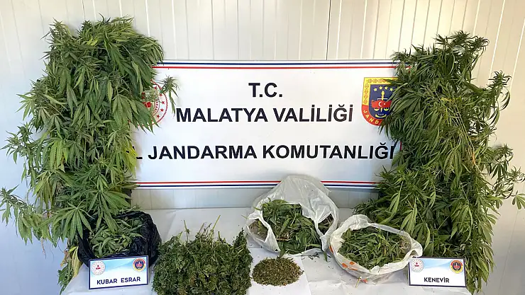 Malatya'da Uyuşturucu ve Tarihi Eser Operasyonu: 1 Tutuklama