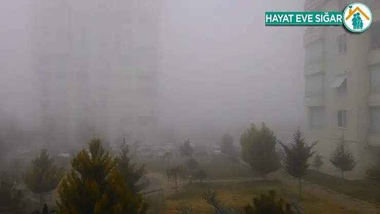 Malatya'da yoğun sis etkili oluyor
