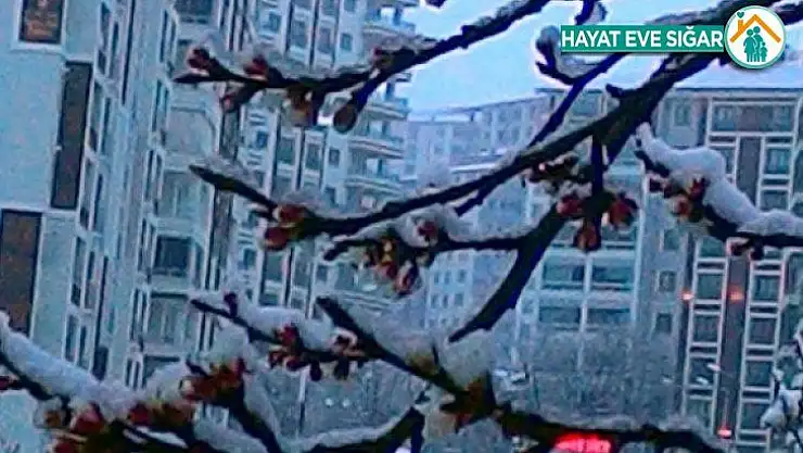 Malatya'da zirai don uyarısı