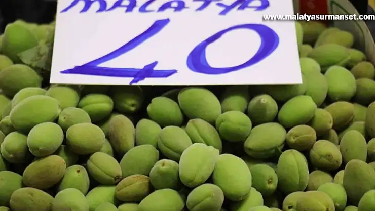 Malatya kayısısı çağlaları tezgahlardaki yerini aldı