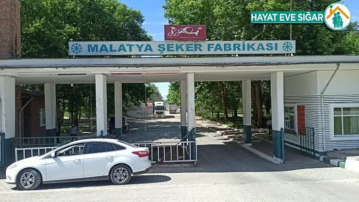 Malatya Şeker Fabrikası'nda birincilik sevinci