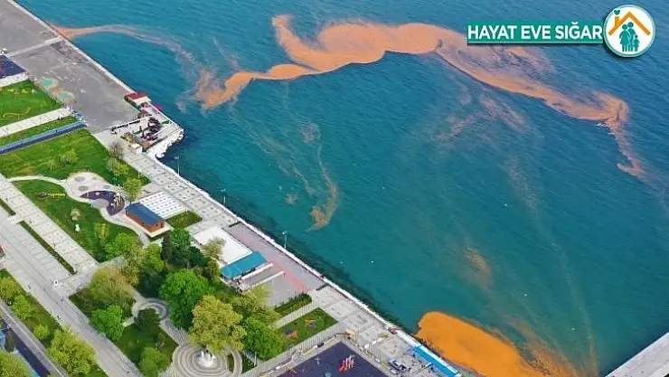 Marmara Denizi yine turuncuya büründü