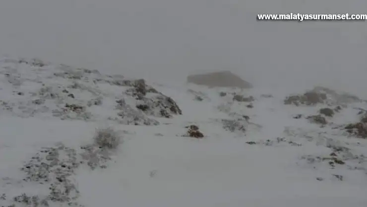 Mayıs ayında Nemrut'ta kar sürprizi