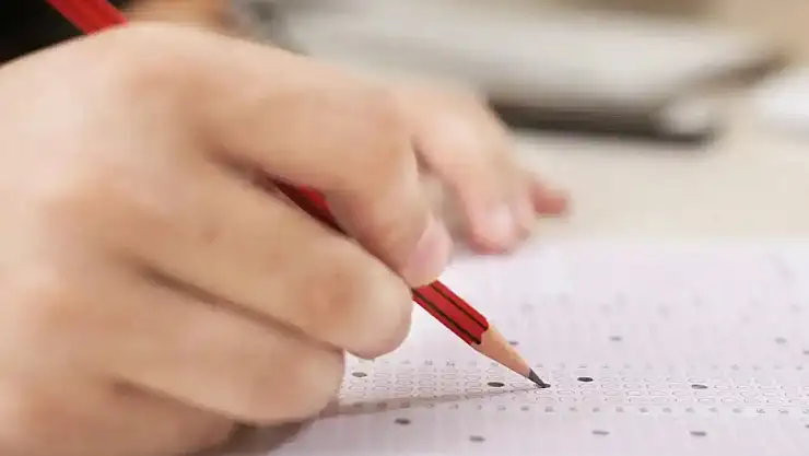 MEB bursluluk sınav sonuçları açıklandı