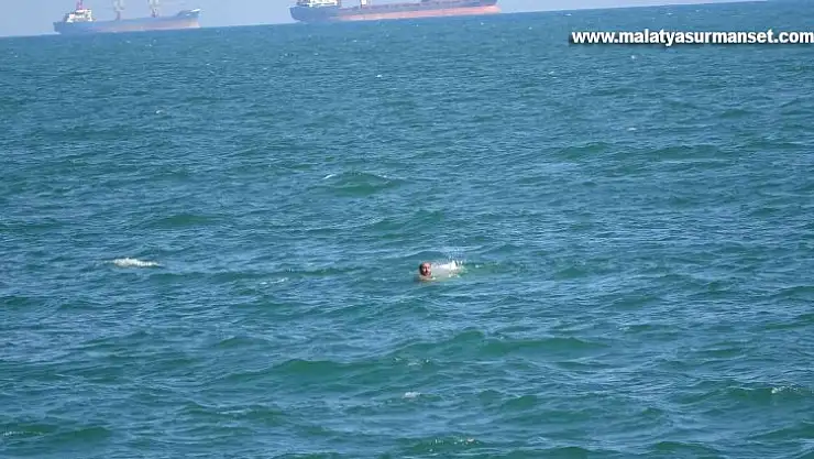 Mersin'de can pazarı