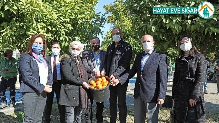 Mersin'de turunçlar salata sosu olarak ekonomiye kazandırılacak