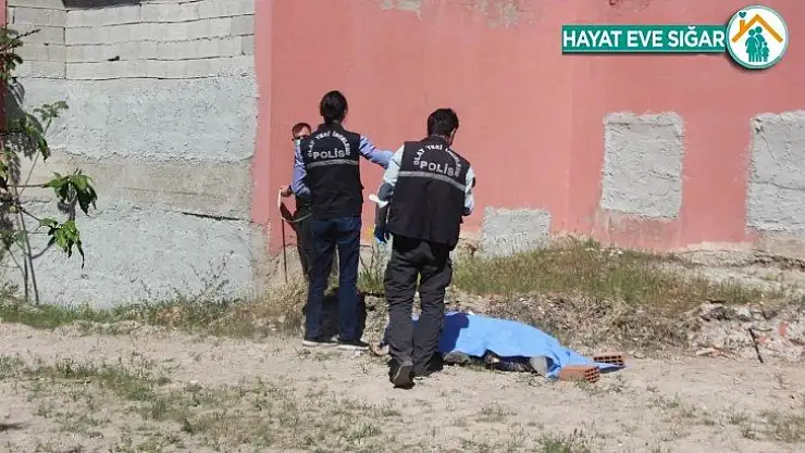 Metruk bina bahçesinde ölü bulundu