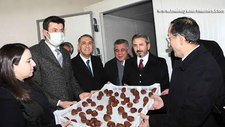 Meyve kurutma ve paketleme tesisi açıldı