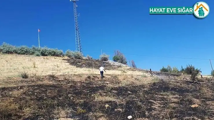 Mezarlıkta çıkan yangın büyümeden kontrol altına alındı