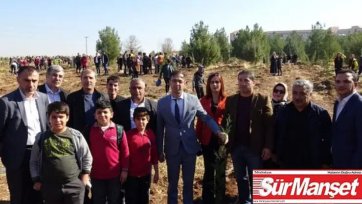 MHP Diyarbakır İl Başkanı Kayaalp fidan dikti