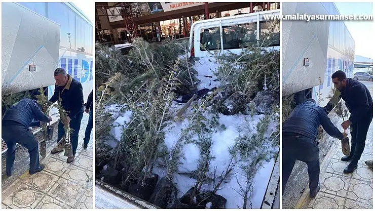 MHP Malatya İl Başkanlığından Devlet Bahçeli Hatıra Ormanı'na Fidan Desteği