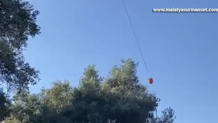 Milas'ta 50 dönüm zeytinlik alan yangında zarar gördü