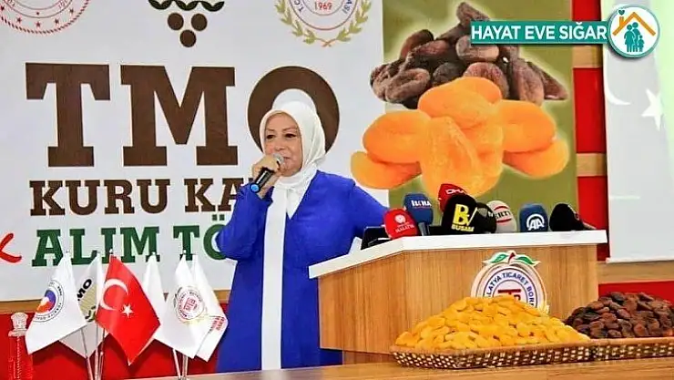 Çalık kayısı alım fiyatı açıklaması Kayısı üreticisinin yüzü güldü