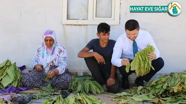 Milletvekili Toprak, tütün üreticilerine kolaylık diledi