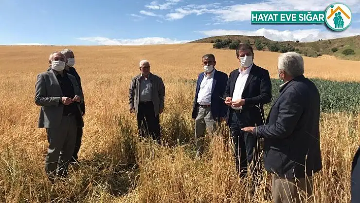 Milletvekili Tutdere: 'Dolu yağan yerler afet bölgesi ilan edilsin'