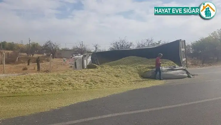 Mısır silajı yüklü tır devrildi: 1 yaralı