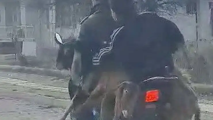 Motosiklette 2 keçi, 2 insan