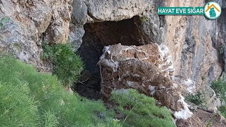 MSB PKK'ya ait çok sayıda silah ve mühimmat ele geçirildi