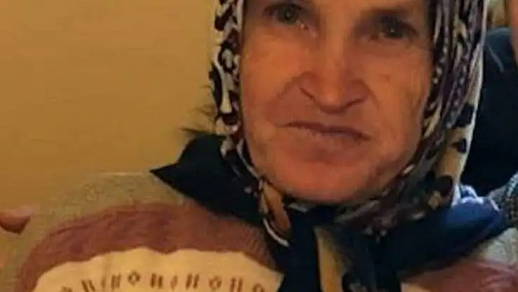Nallıhan'da kaybolan kadını arama çalışmaları sürüyor