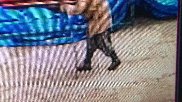 Nallıhan'da kayıp olan yaşlı kadın 6 gündür bulunamadı