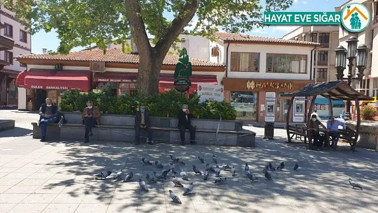 Nallıhan'da yaşlılar ATM'lere ve meydanlara koştu