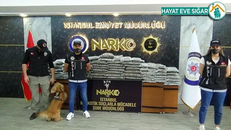 Narkotik köpeği 'Alex' tırda 60 kiloya yakın uyuşturucu buldu