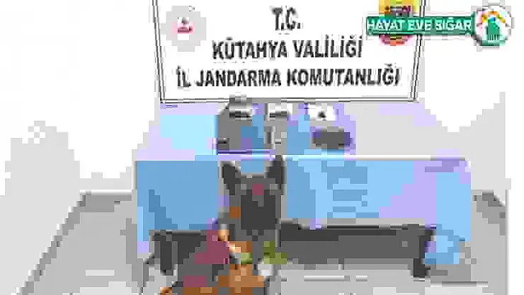 Narkotik köpeği Mola, zehir tacirlerine geçit vermedi