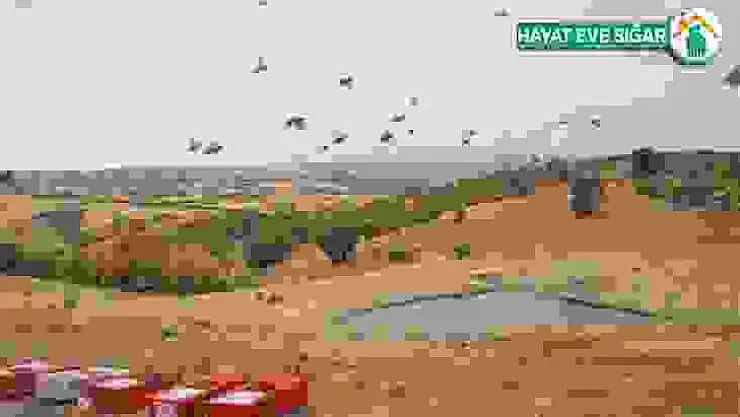 Nesli tükenmekte olan 600 keklik doğaya salındı