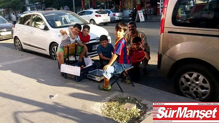Öğrenciler girişimcilik dersinde domates sattı