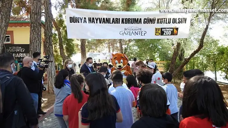 Öğrenciler tedavi gören hayvanları besledi