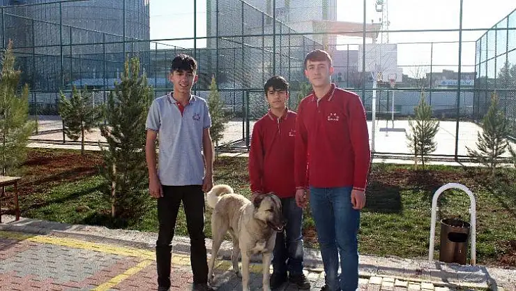 Öğretmenlerinden izin alıp dersten çıktılar, tellere takılan köpeği kurtardılar