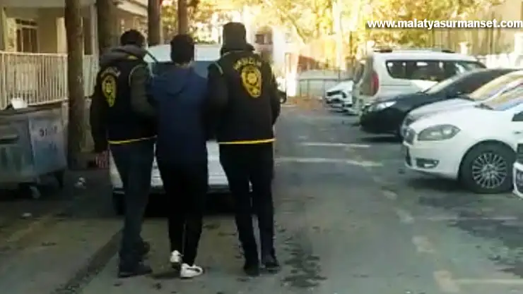 Okul faresi yakalandı