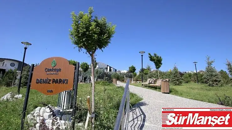 Okyanus ve Deniz parkları açılış için gün sayıyor