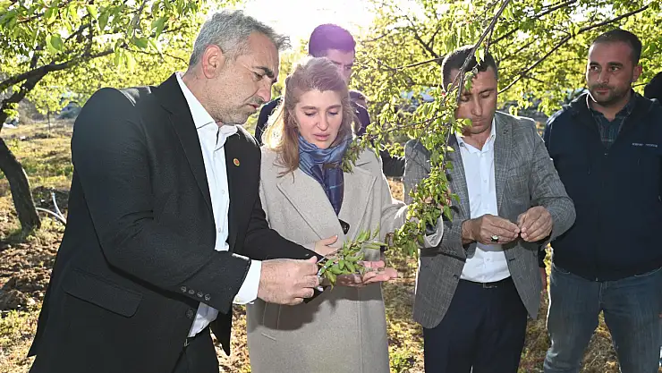 Ölmeztoprak Kayısıdaki Don Zararı Cumhurbaşkanımıza İletildi