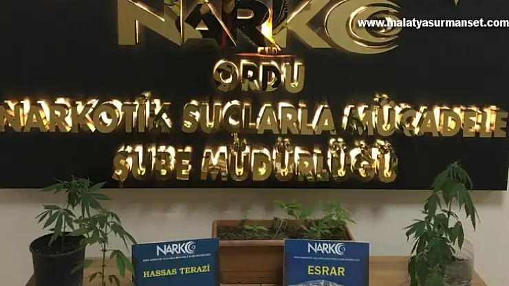 Ordu'da 3 torbacı tutuklandı